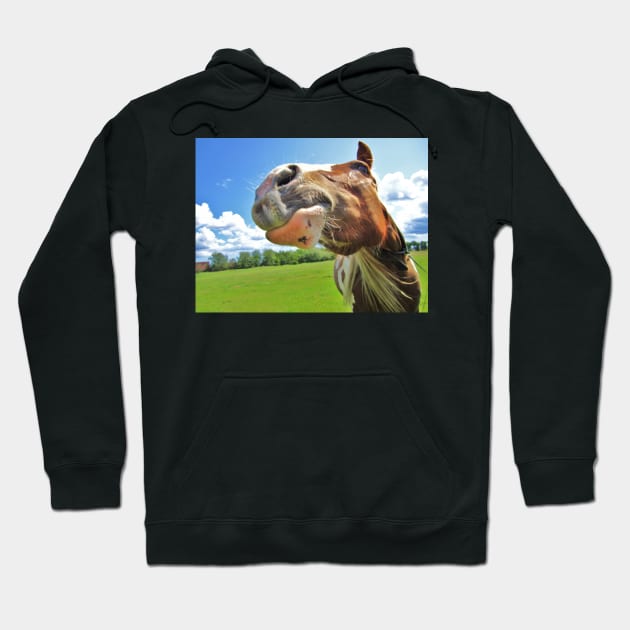 Wot You Mean No More Carrots! Hoodie by Ladymoose